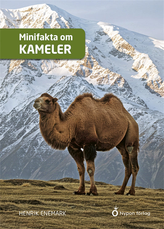 Minifakta om kameler – E-bok