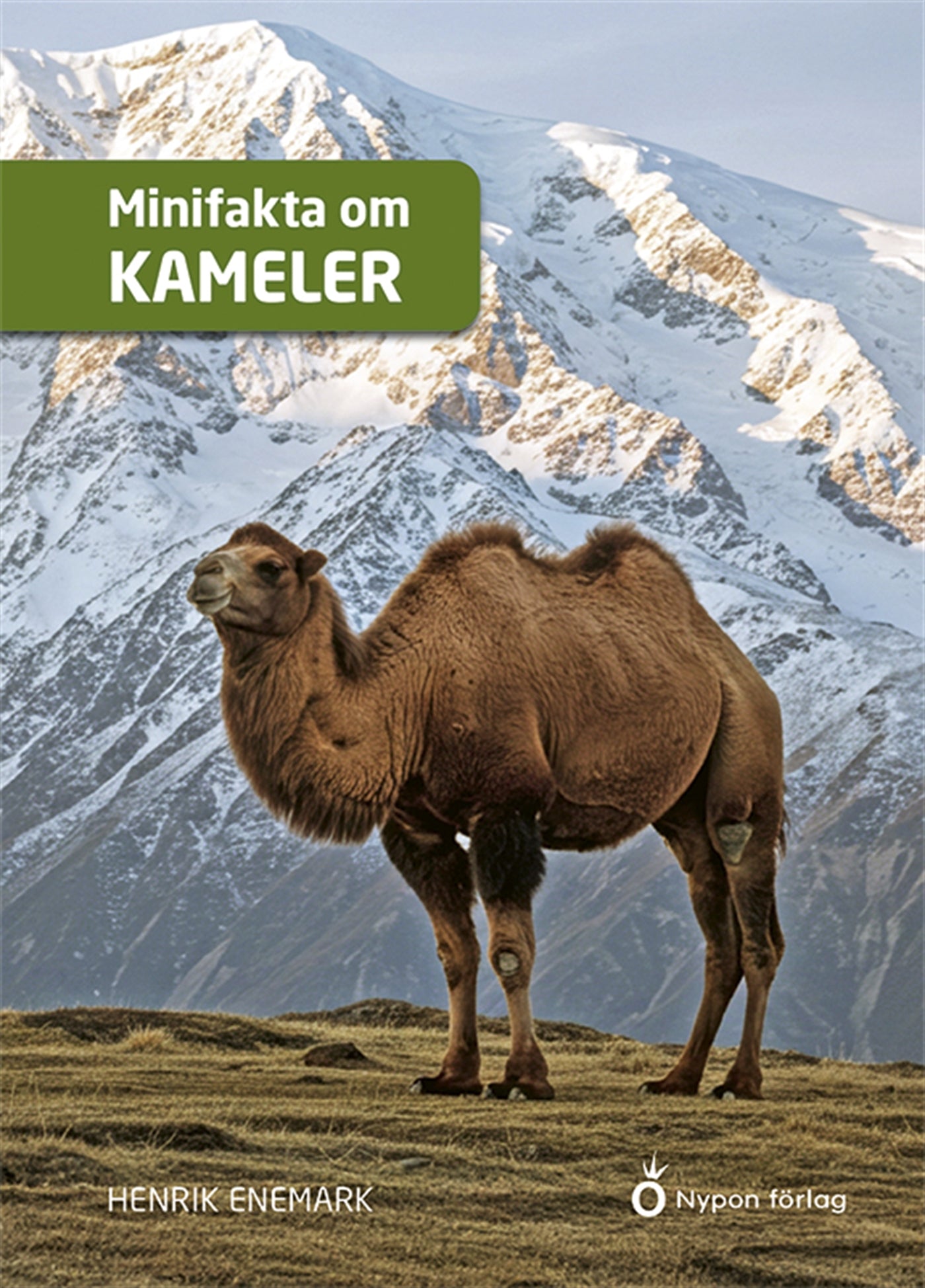 Minifakta om kameler – E-bok