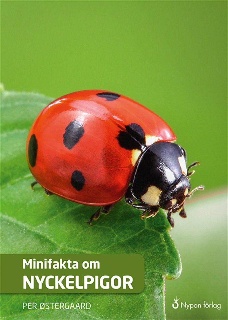 Minifakta om nyckelpigor – E-bok