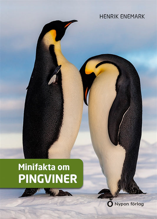 Minifakta om pingviner – E-bok