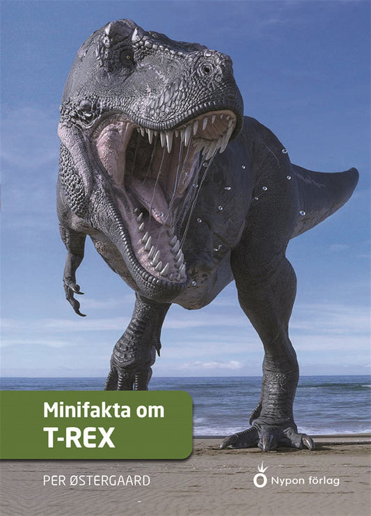 Minifakta om t-rex – E-bok