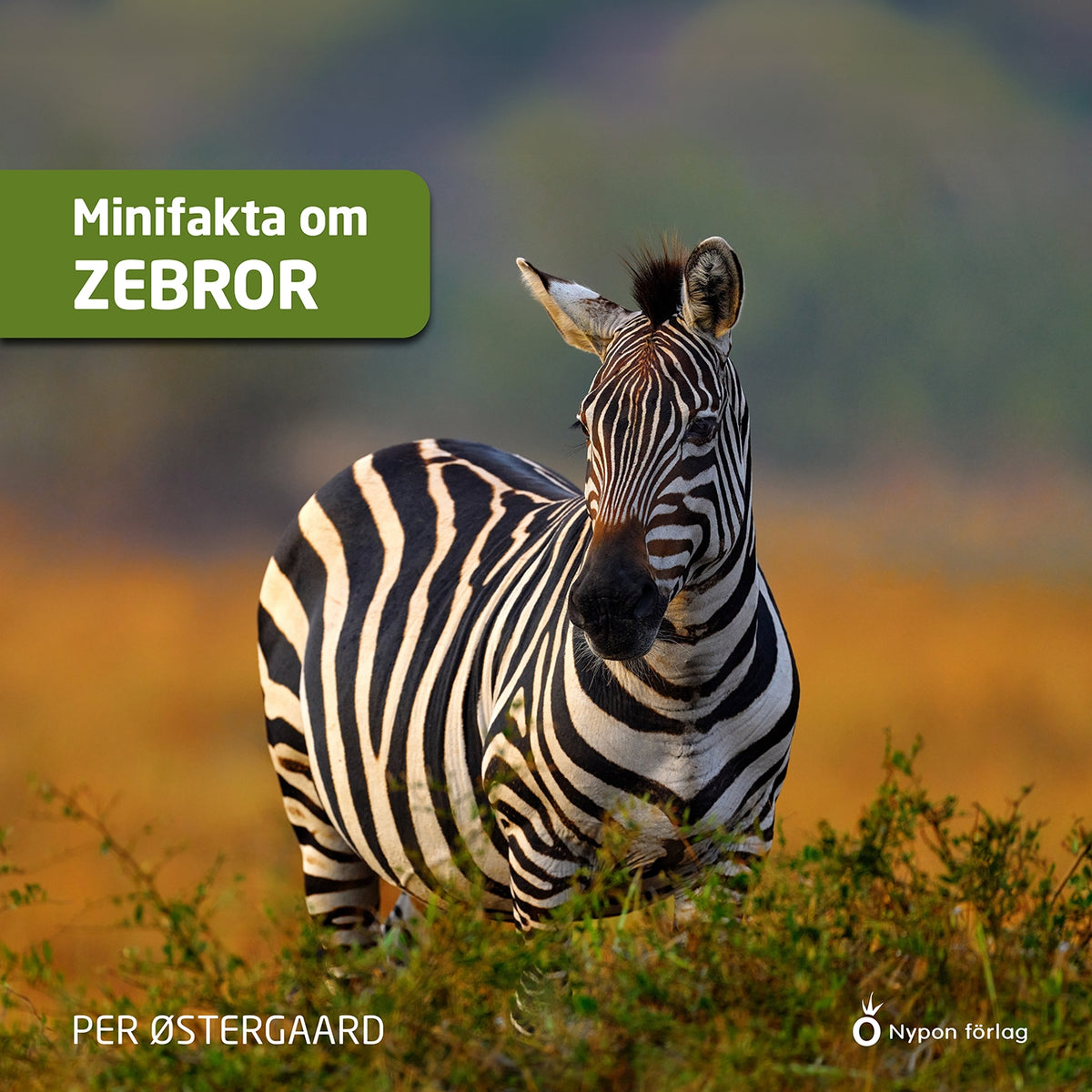 Minifakta om zebror – Ljudbok