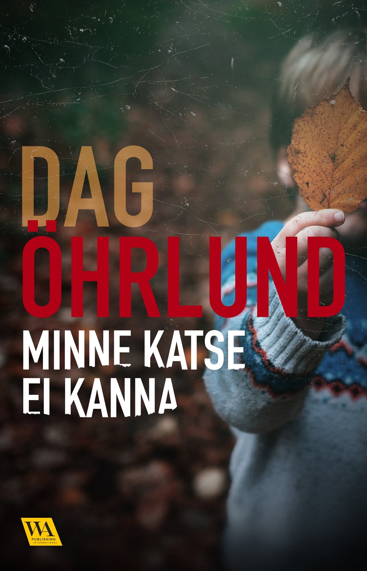Minne katse ei kanna – E-bok