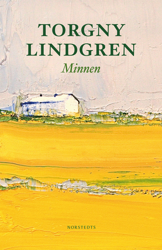 Minnen – E-bok