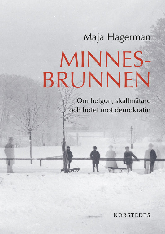 Minnesbrunnen : om helgon, skallmätare och hotet mot demokratin – E-bok