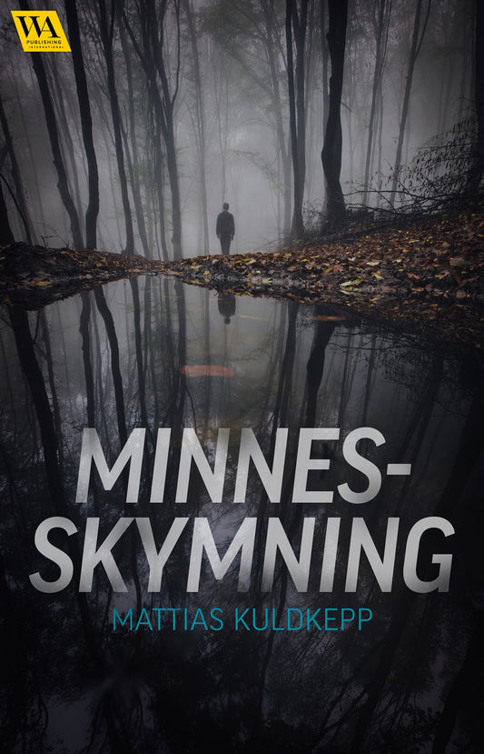 Minnesskymning – E-bok