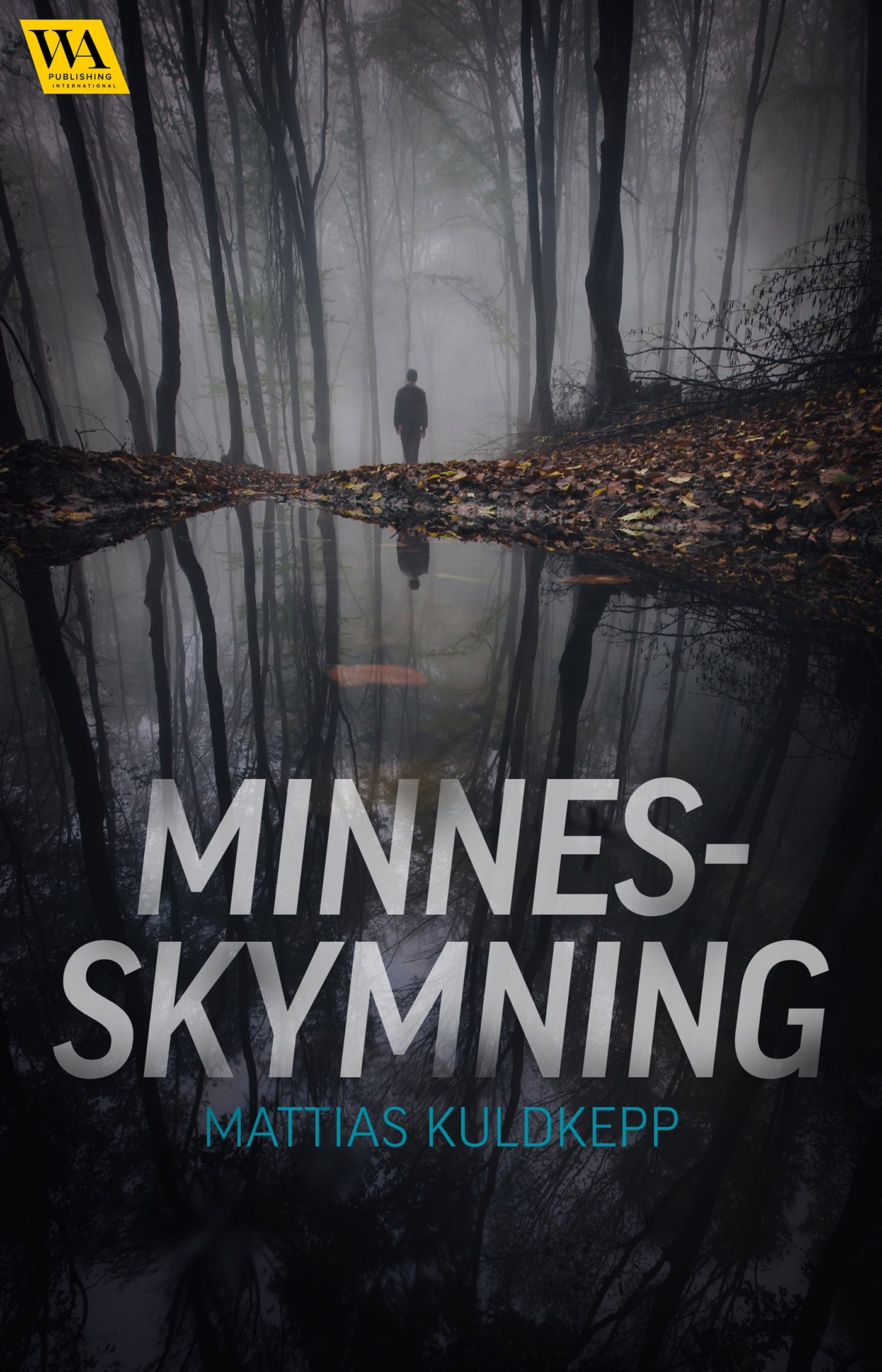 Minnesskymning – E-bok
