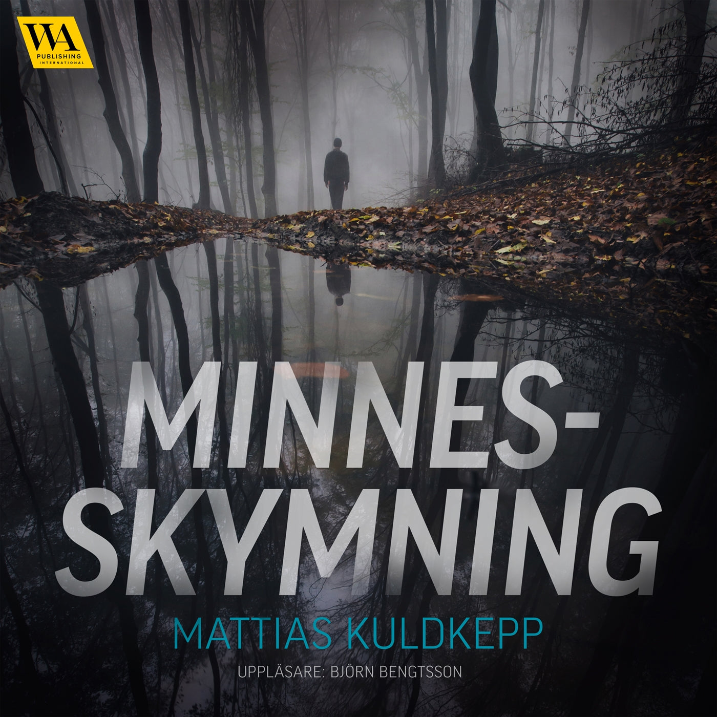 Minnesskymning – Ljudbok