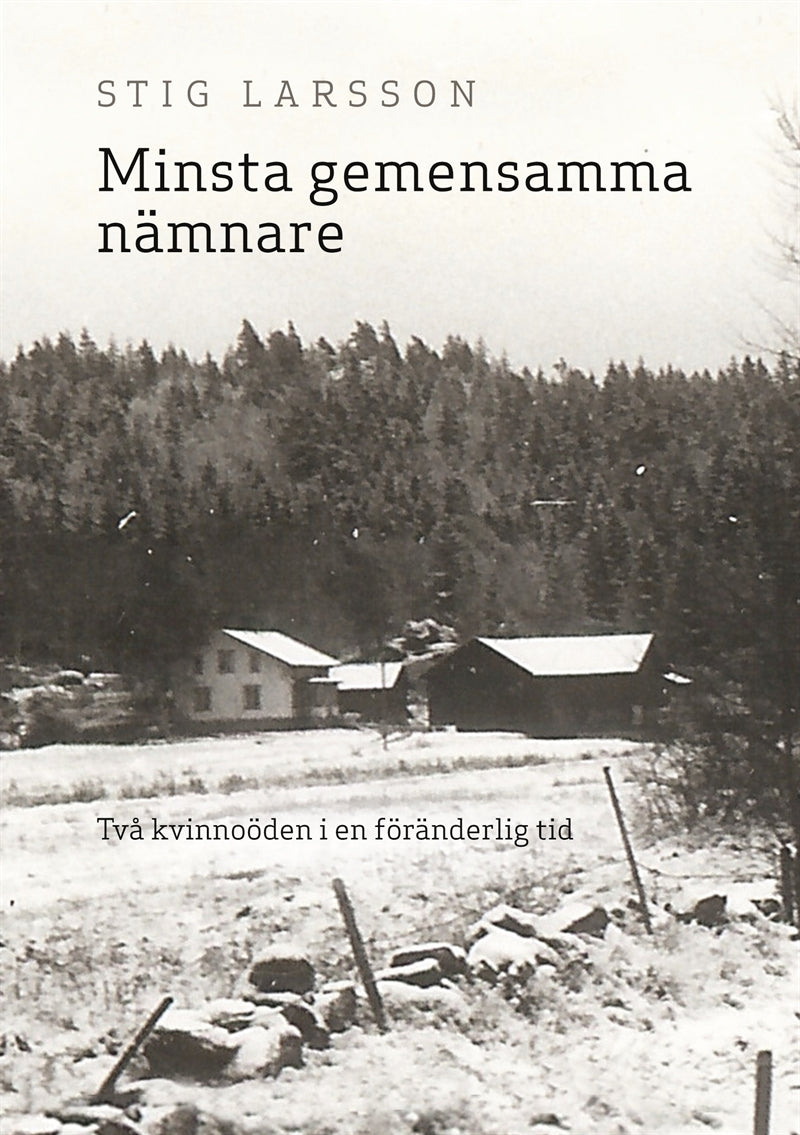 Minsta gemensamma nämnare: Två kvinnoöden i en föränderlig tid – E-bok