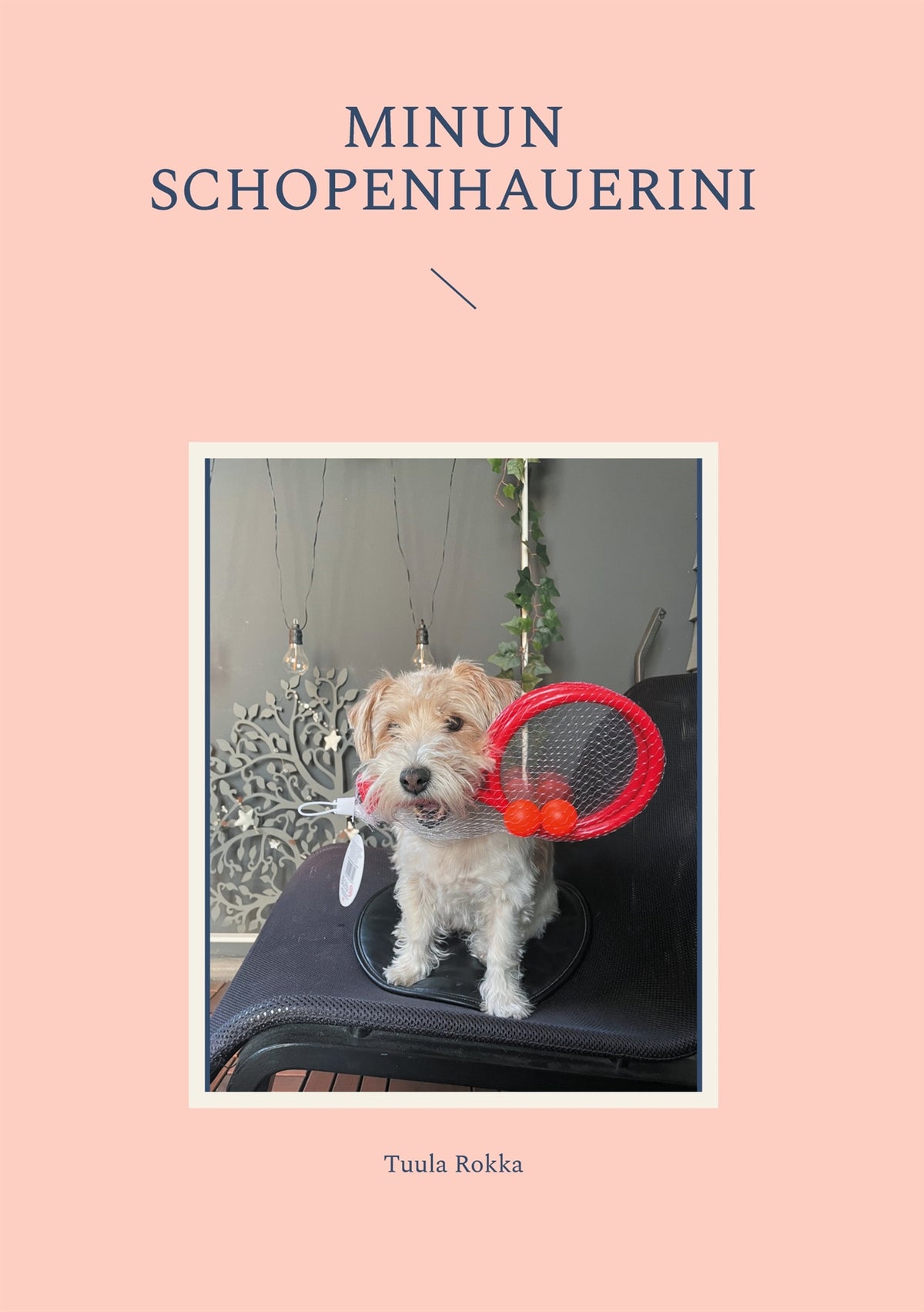 Minun Schopenhauerini – E-bok