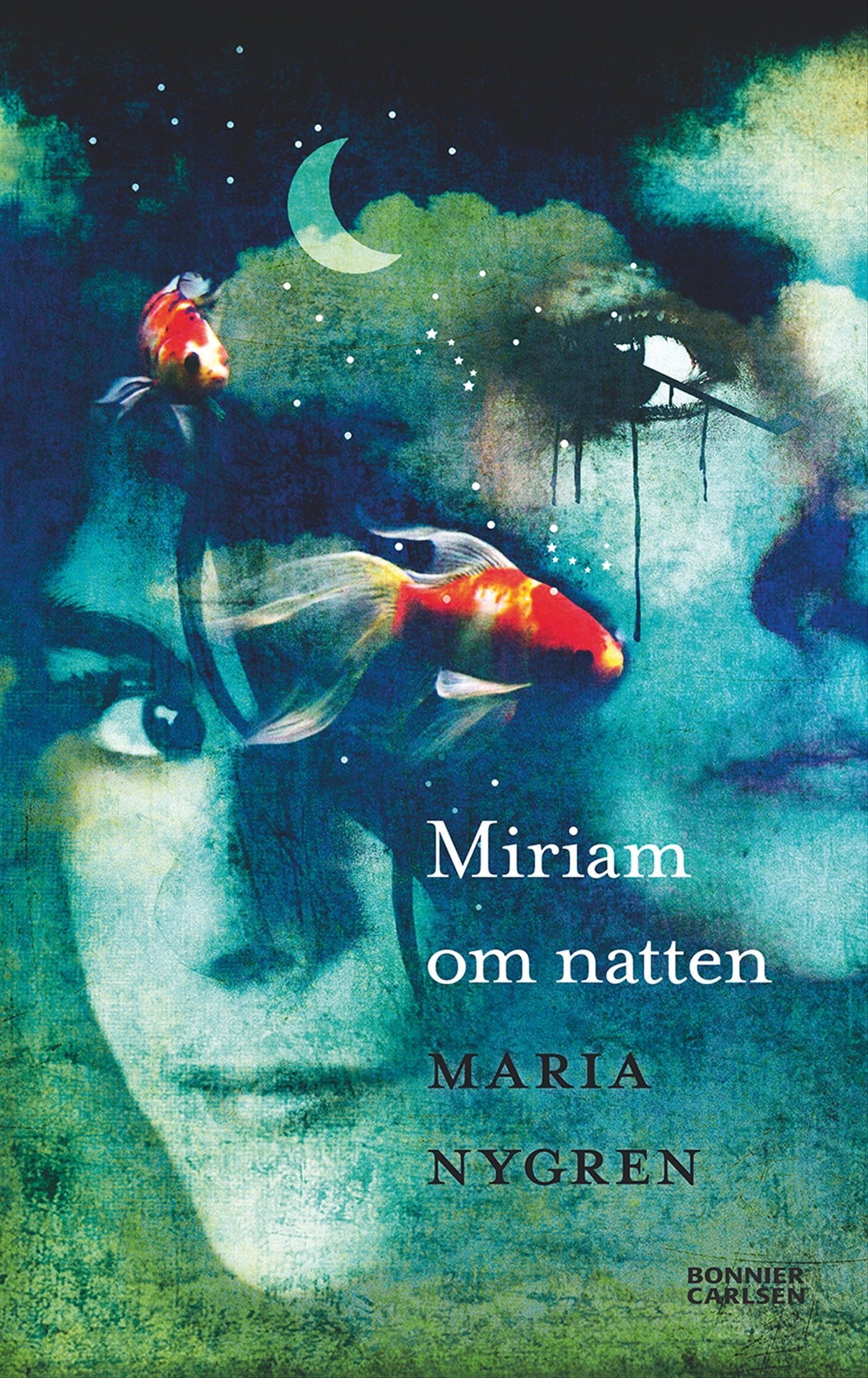 Miriam om natten – E-bok
