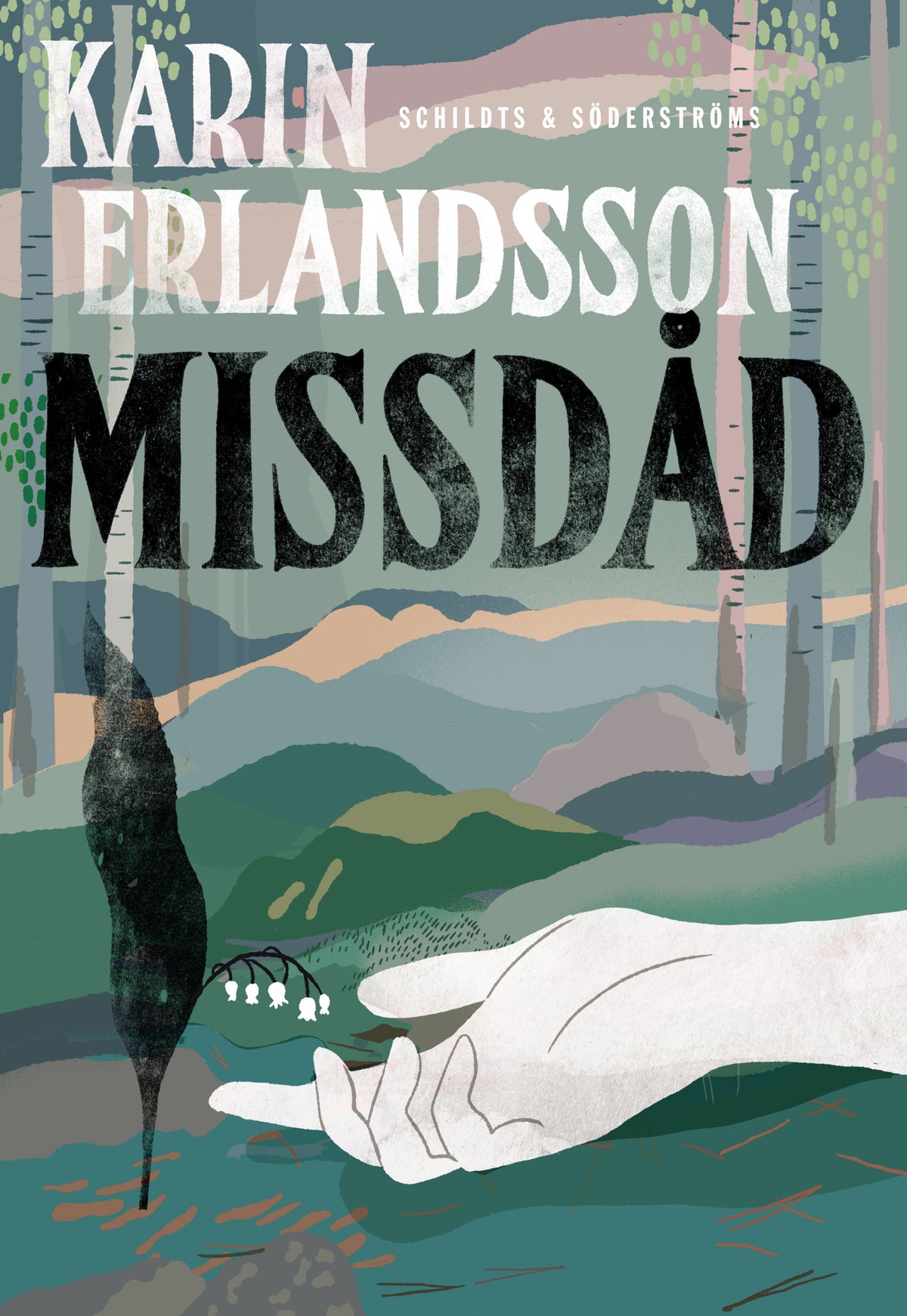 Missdåd – E-bok
