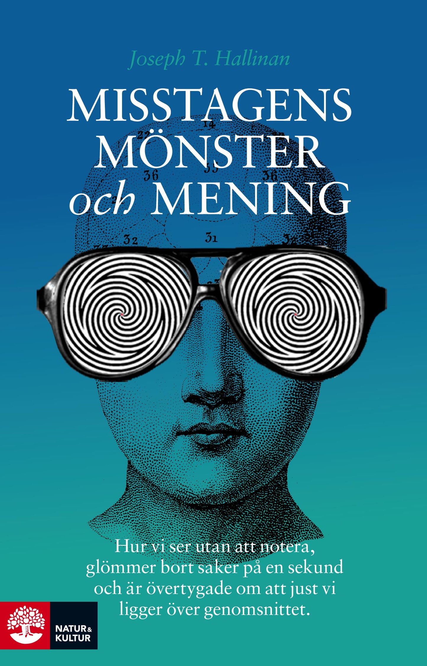 Misstagens mönster och mening : hur vi ser utan att notera, glömmer bort saker på en sekund och är övertygade om att just vi ligger över genomsnittet  – E-bok