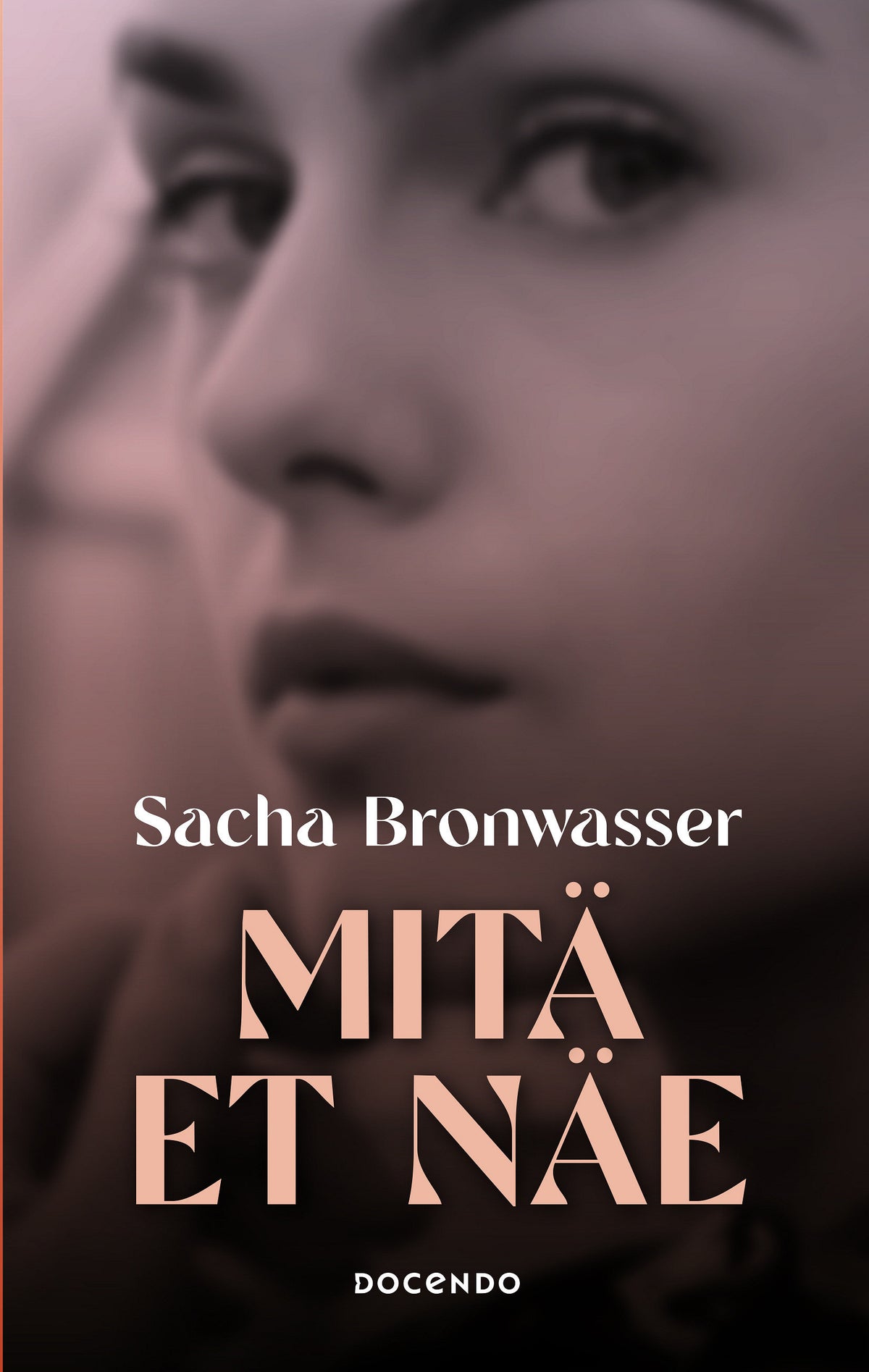 Mitä et näe – E-bok