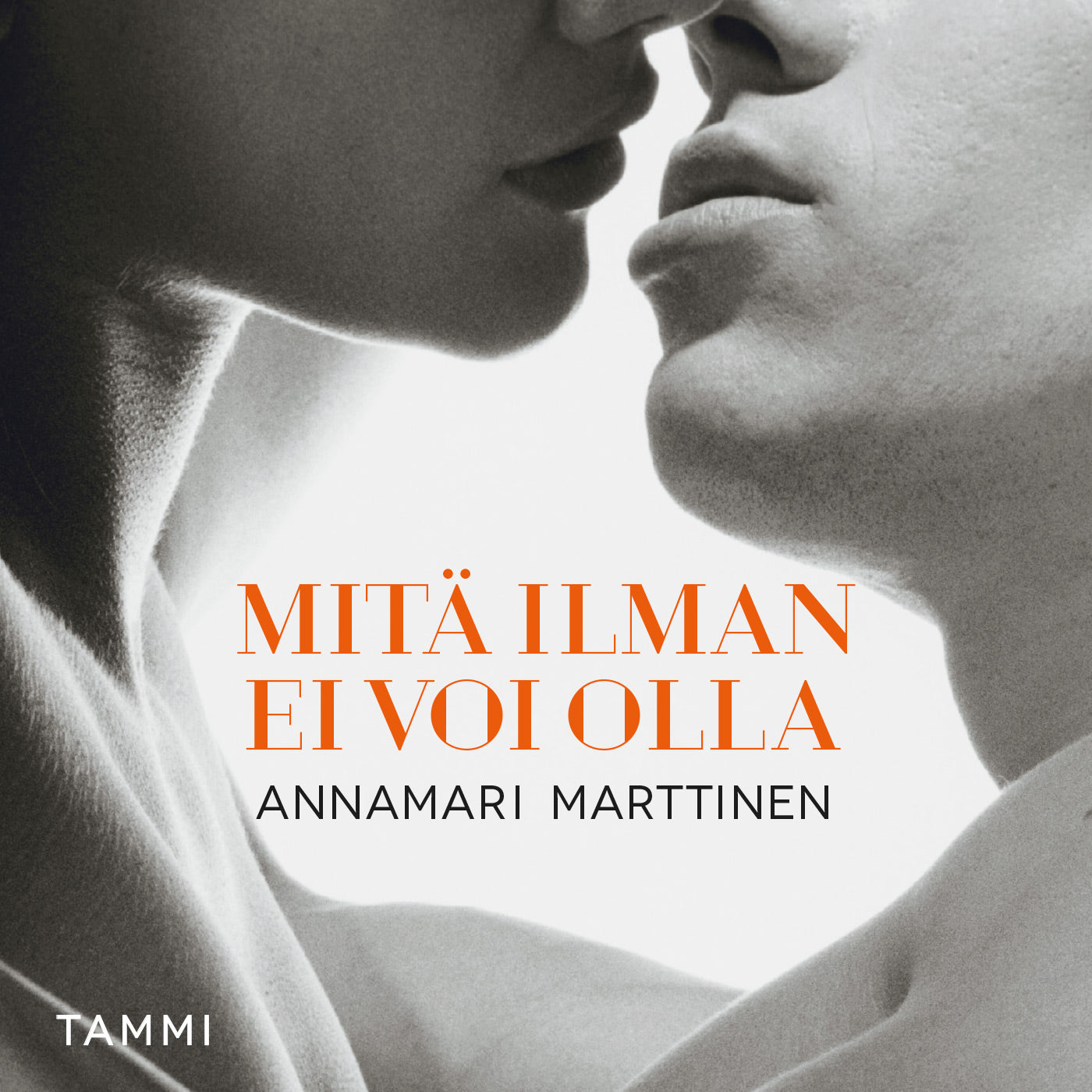 Mitä ilman ei voi olla – Ljudbok