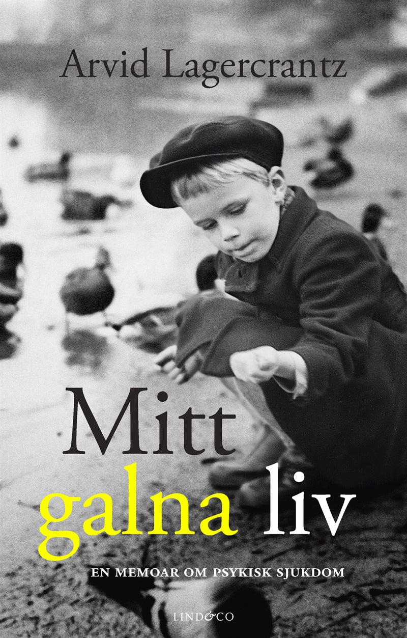 Mitt galna liv : en memoar om psykisk sjukdom – E-bok