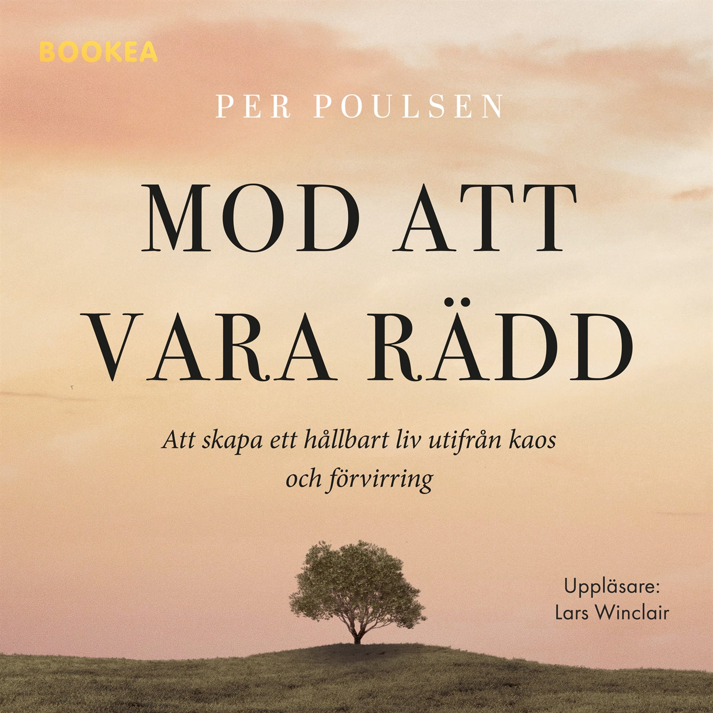 Mod att vara rädd – Ljudbok