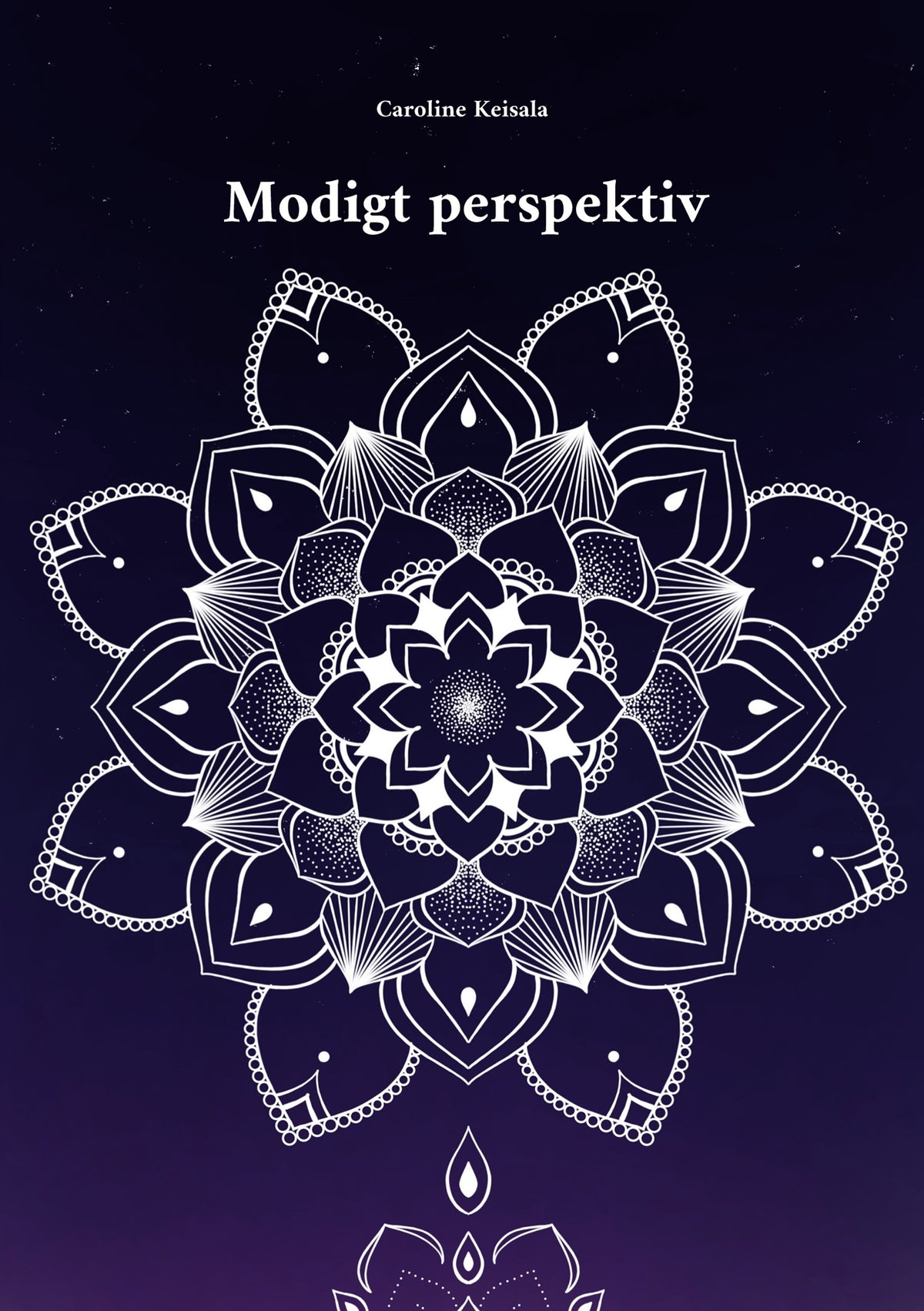 Modigt perspektiv – E-bok