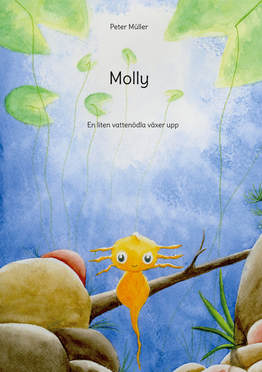 Molly: En liten vattenödla växer upp – E-bok