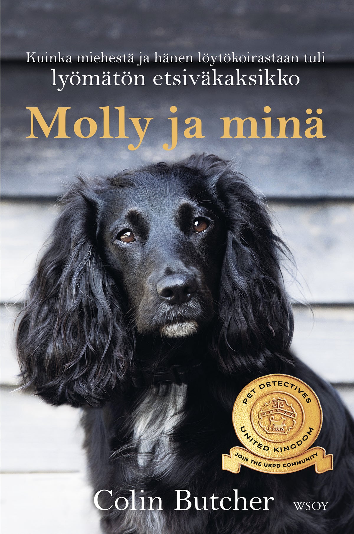 Molly ja minä – E-bok