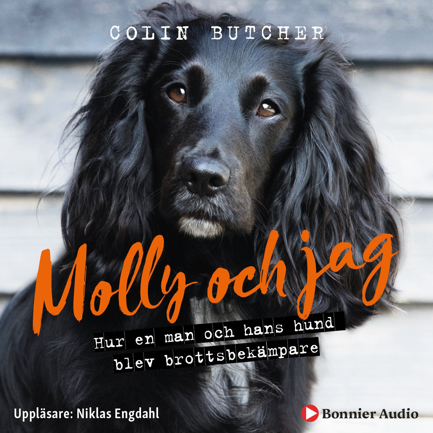 Molly och jag : hur en man och hans hund blev brottsbekämpare – Ljudbok