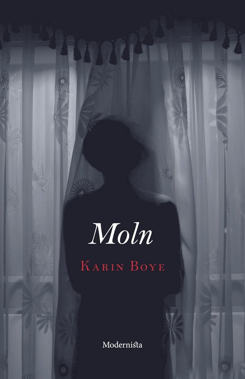 Moln – E-bok