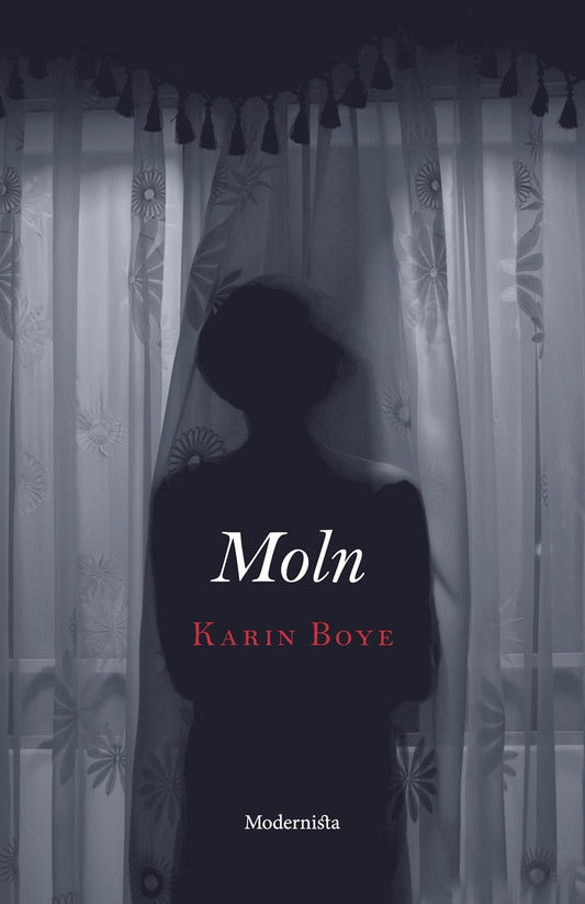 Moln – E-bok
