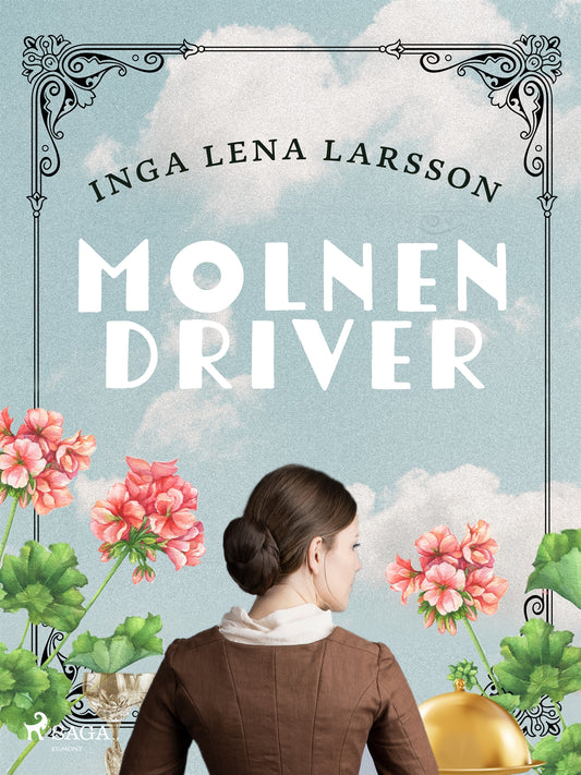 Molnen driver – E-bok