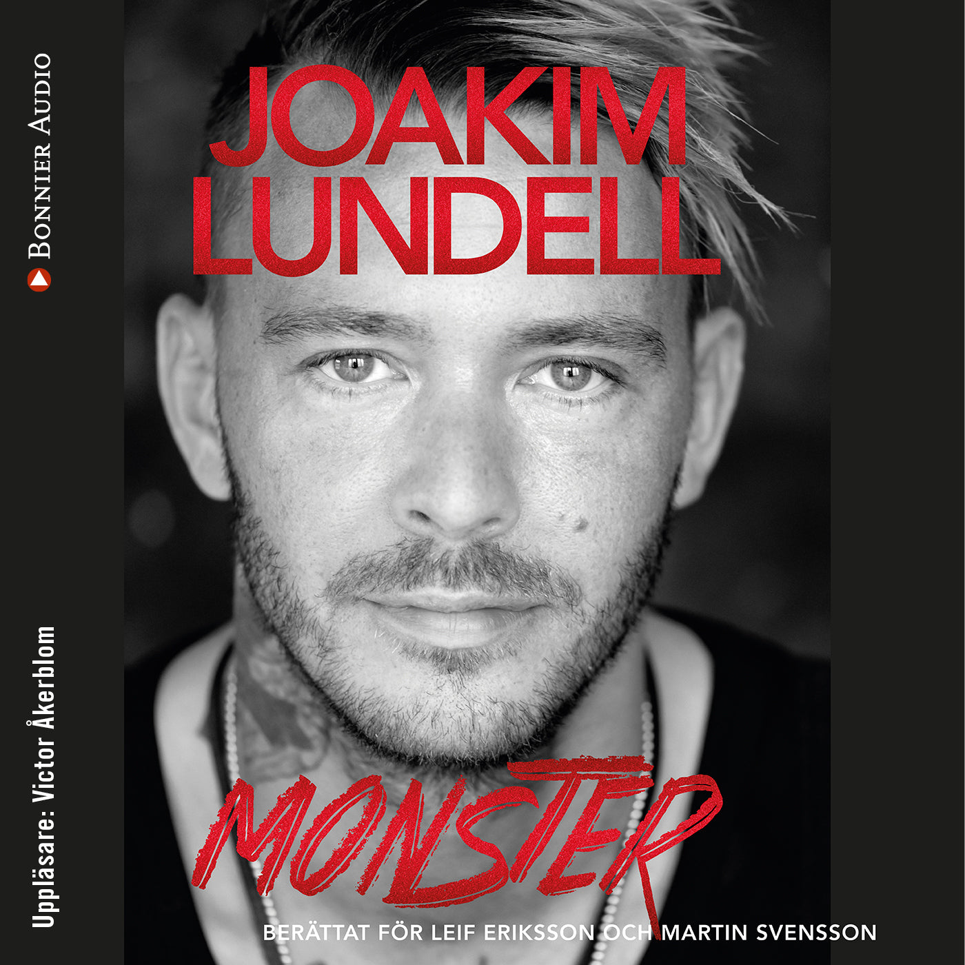 Monster – Ljudbok