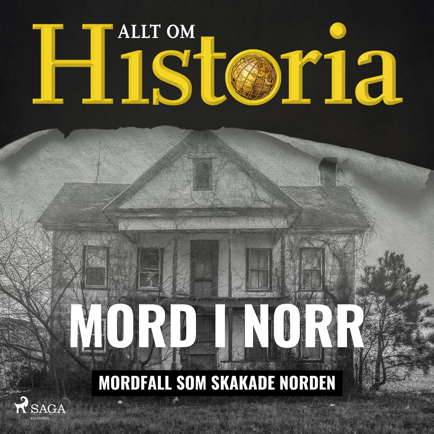 Mord i norr - Mordfall som skakade Norden – Ljudbok