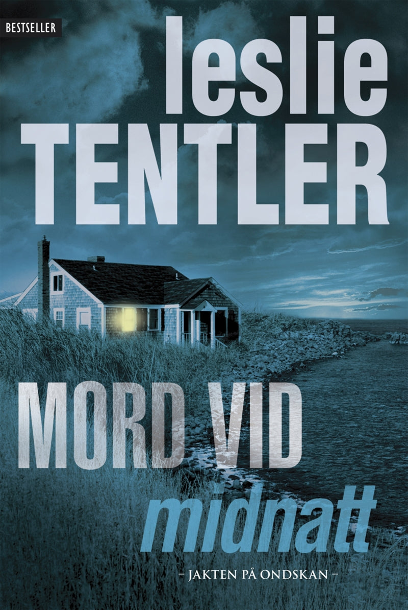 Mord vid midnatt – E-bok