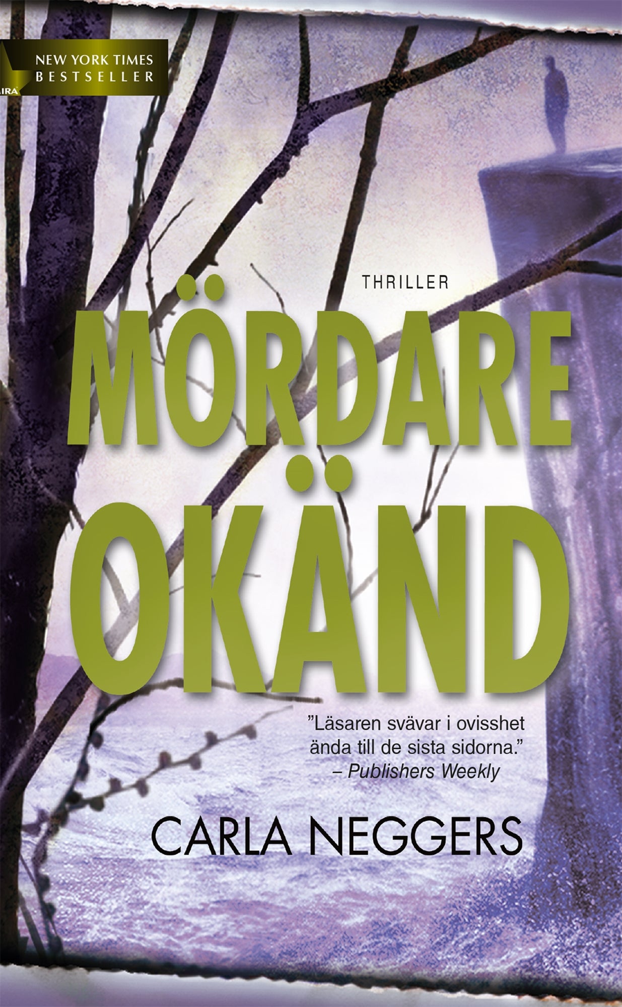 Mördare okänd – E-bok