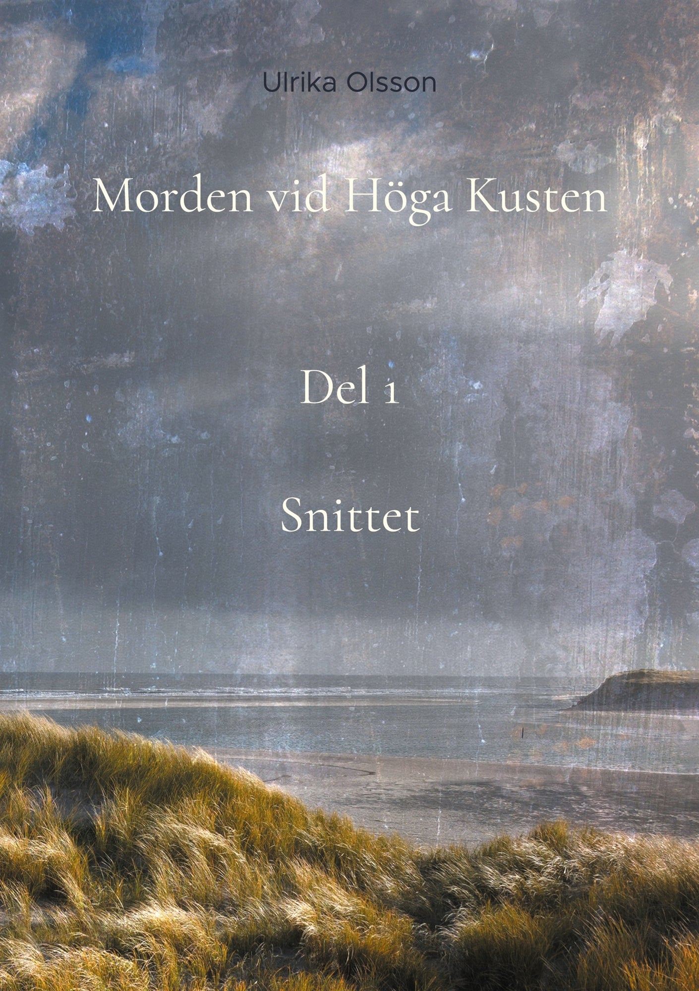 Morden vid Höga Kusten: Snittett – E-bok
