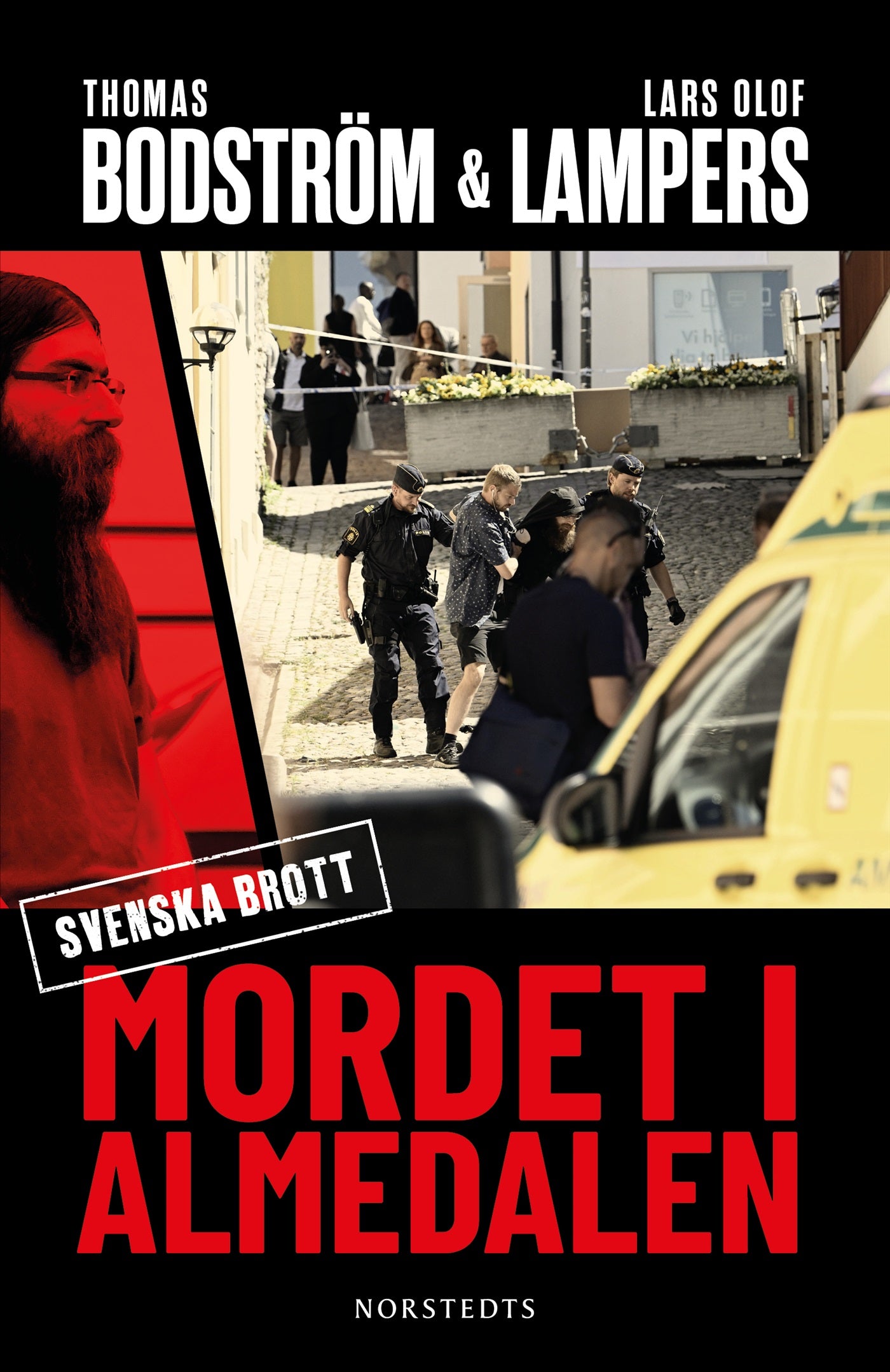 Mordet i Almedalen – E-bok