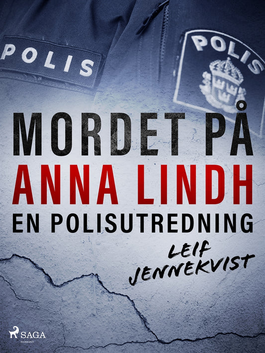 Mordet på Anna Lindh: en polisutredning – E-bok