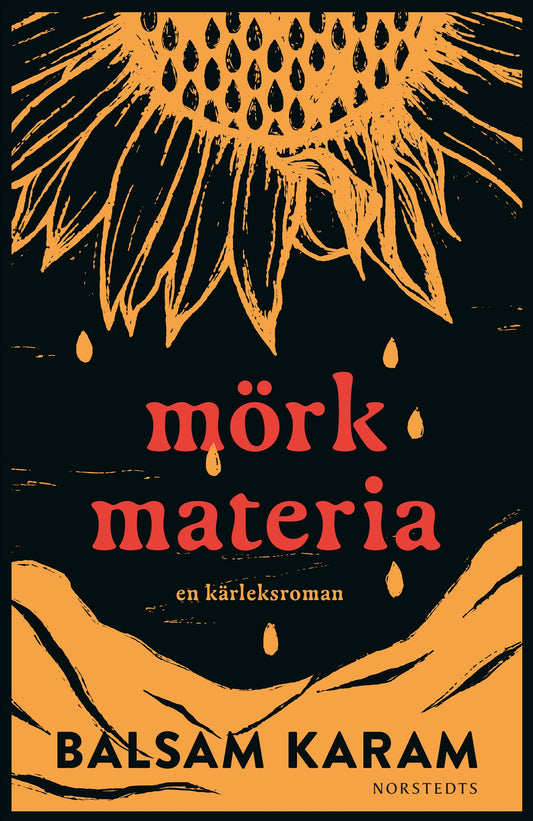 Mörk materia : En kärleksroman – E-bok