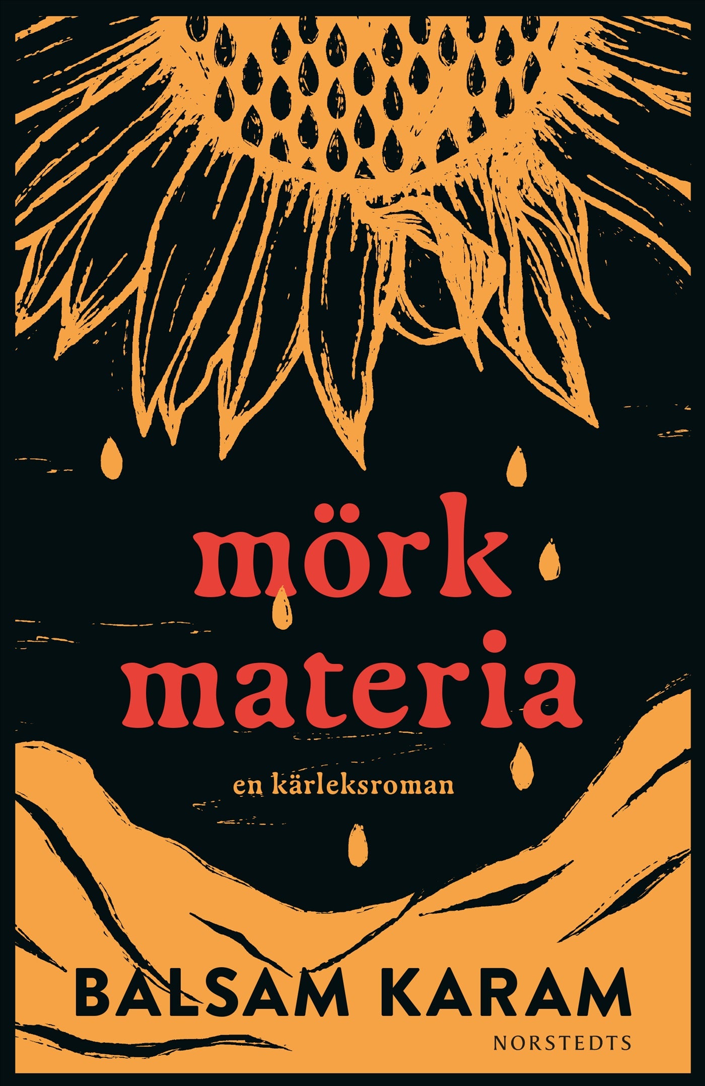 Mörk materia : En kärleksroman – E-bok