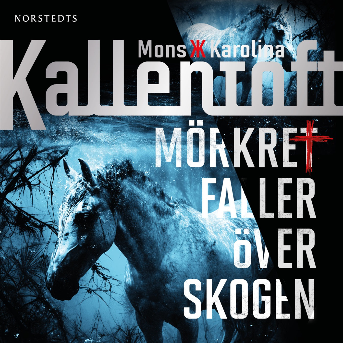 Mörkret faller över skogen – Ljudbok