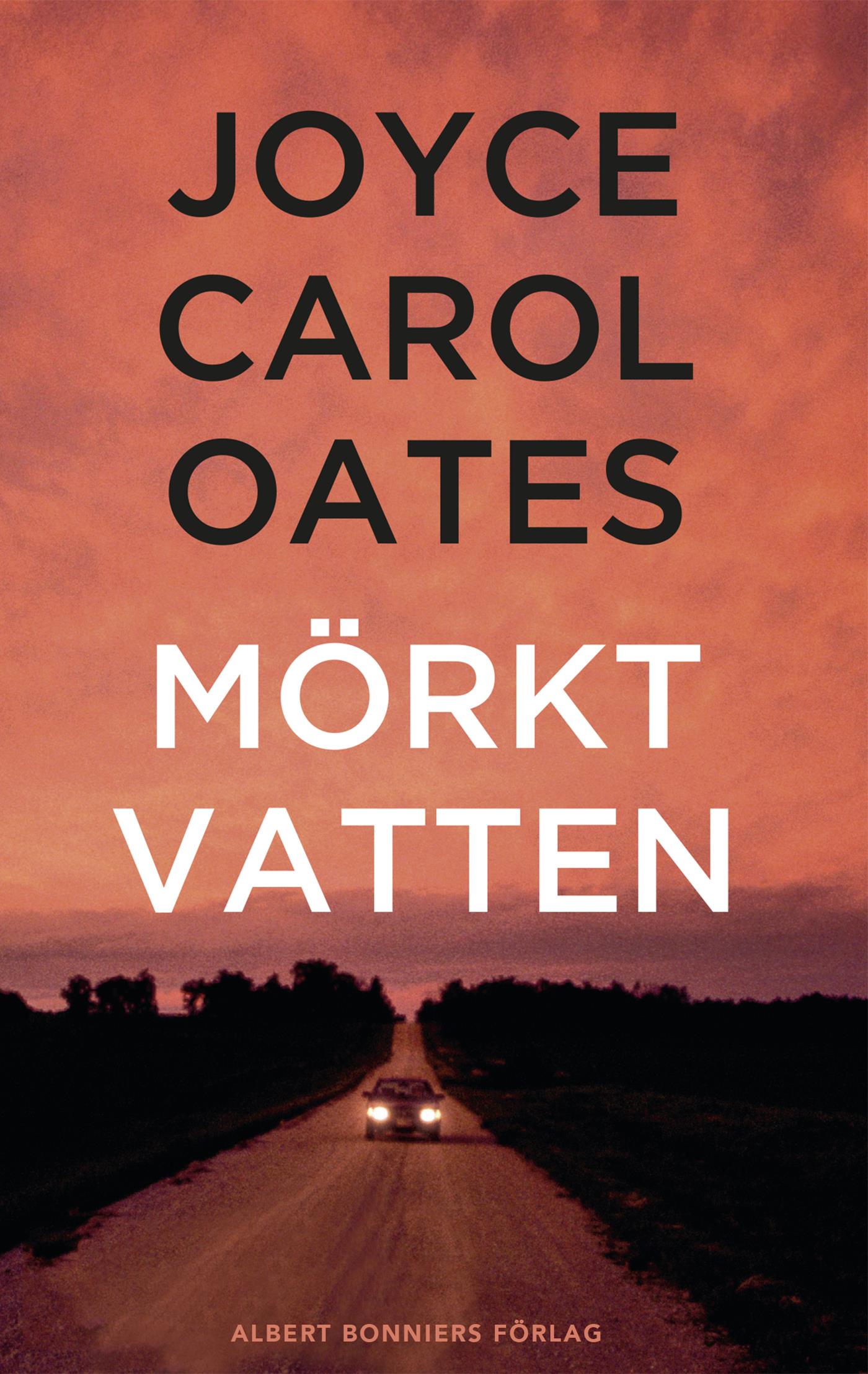 Mörkt vatten – E-bok