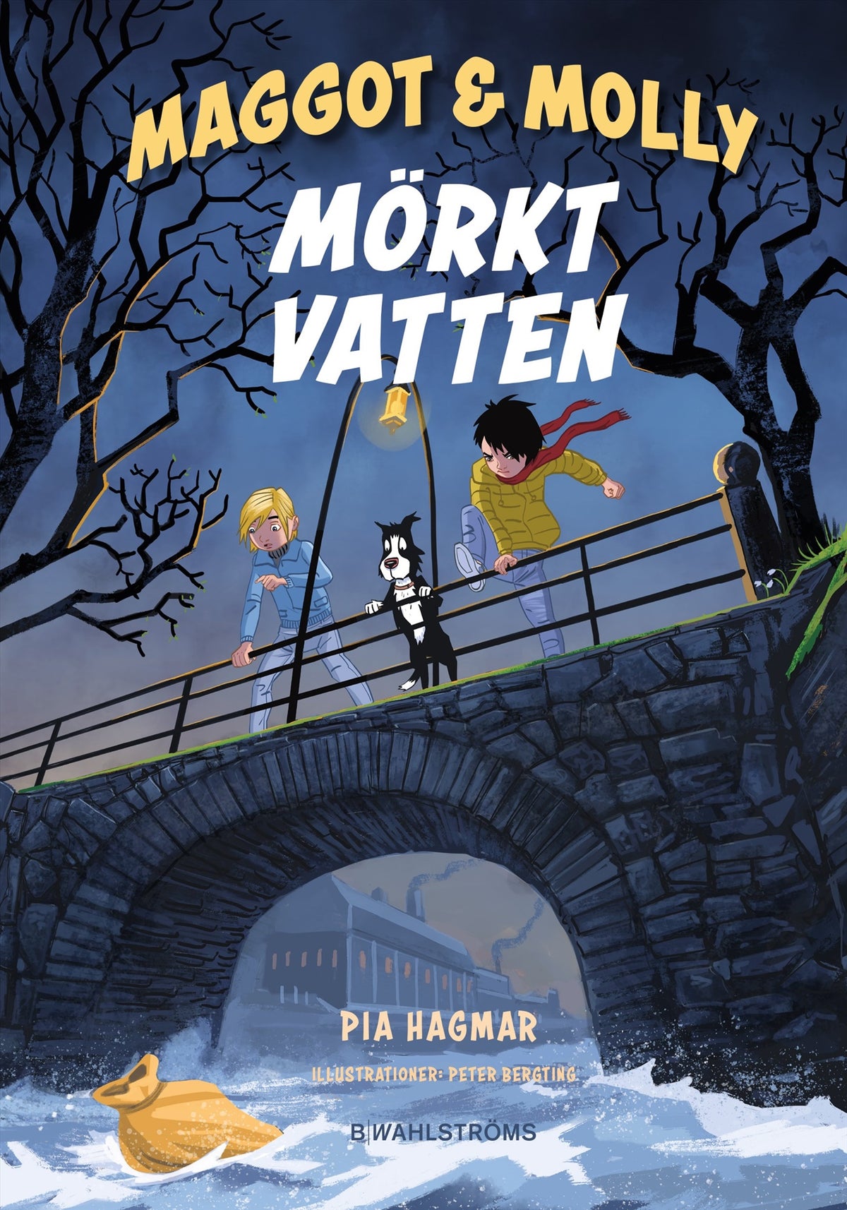 Mörkt vatten – E-bok