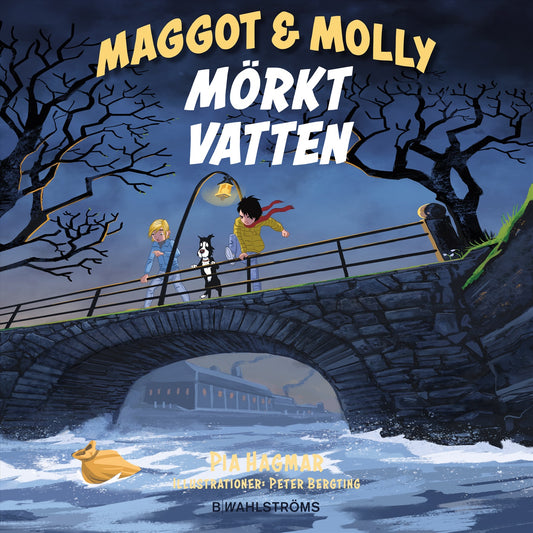 Mörkt vatten – Ljudbok
