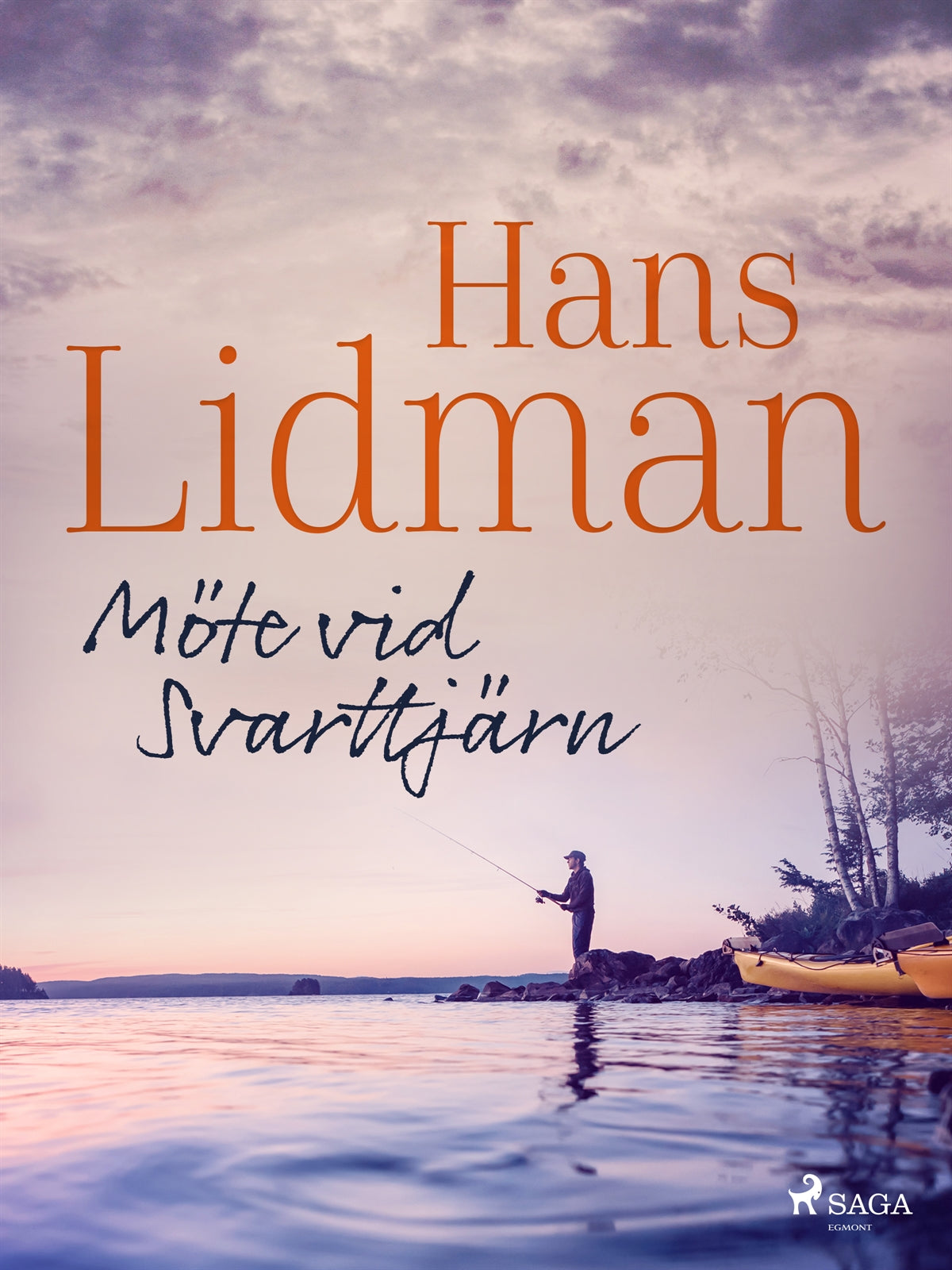Möte vid Svarttjärn – E-bok