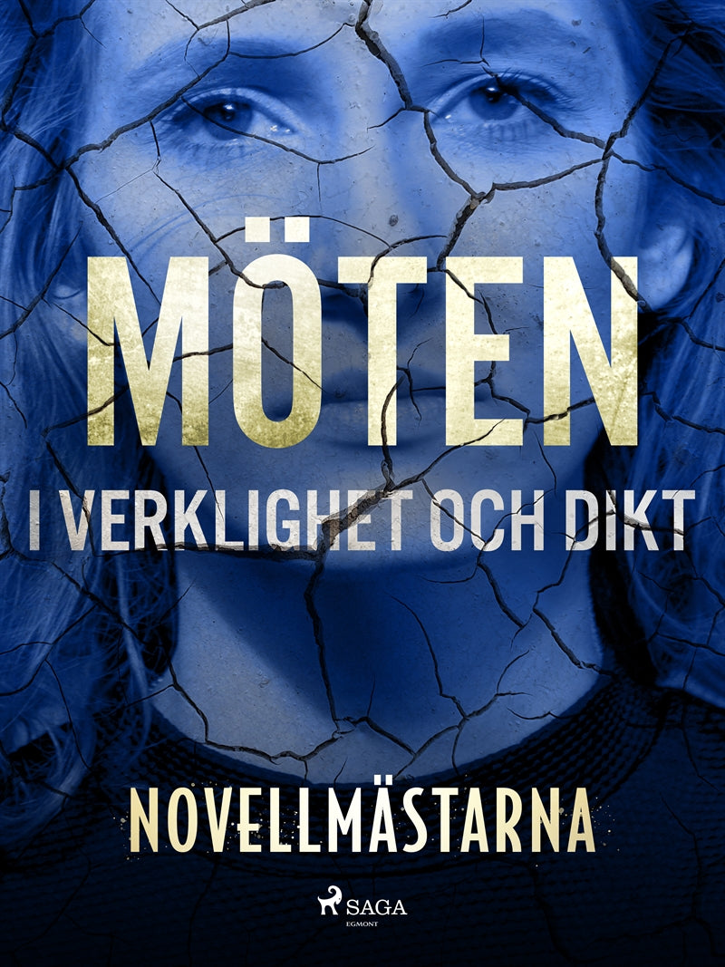 Möten i verklighet och dikt – E-bok