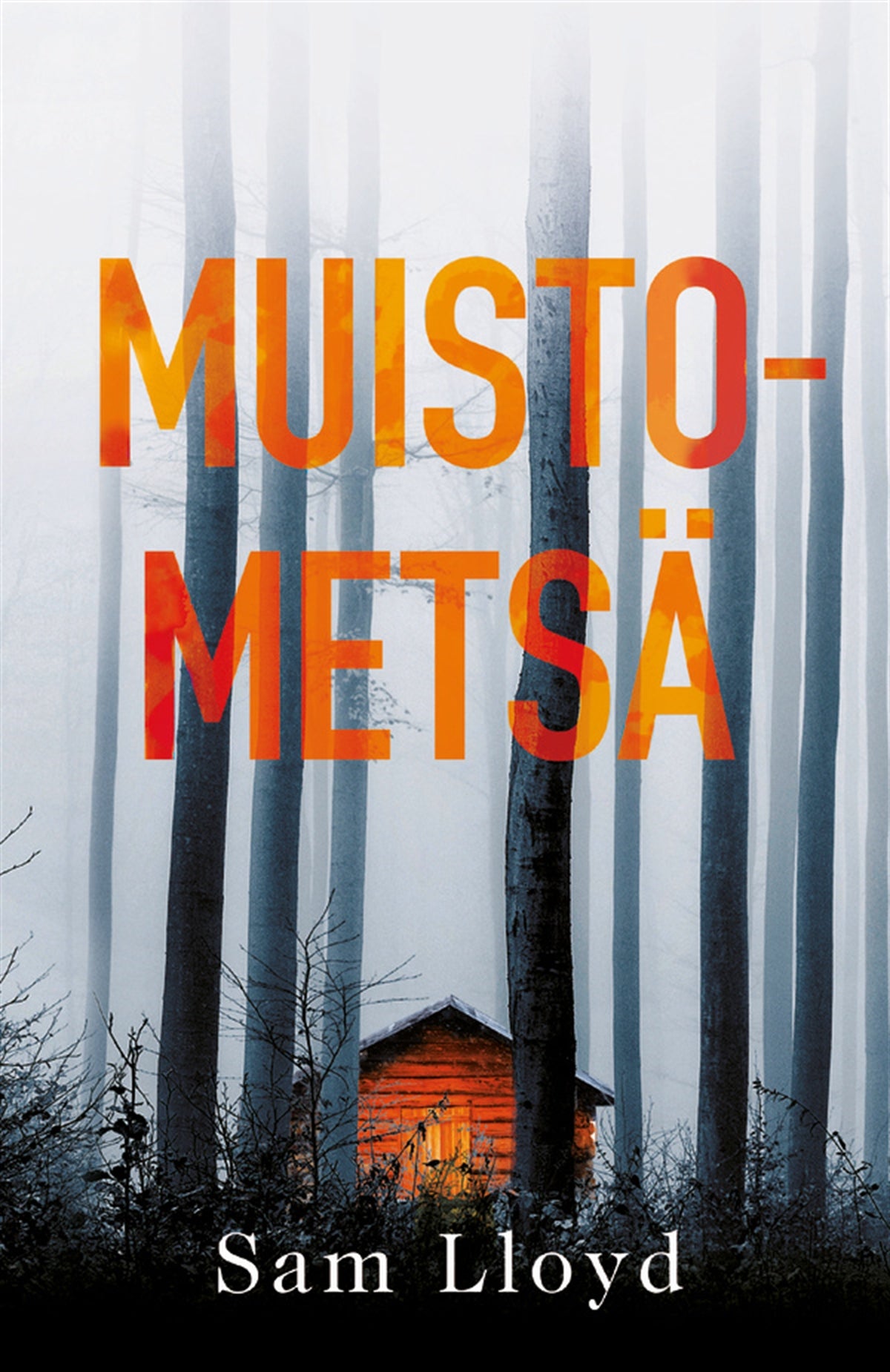 Muistometsä – E-bok