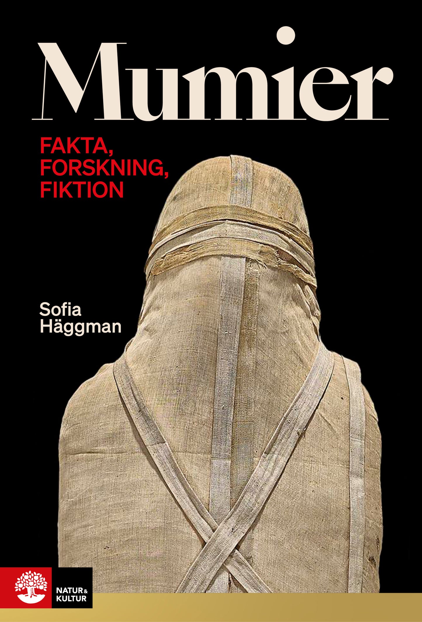 Mumier : fakta, forskning, fiktion – E-bok