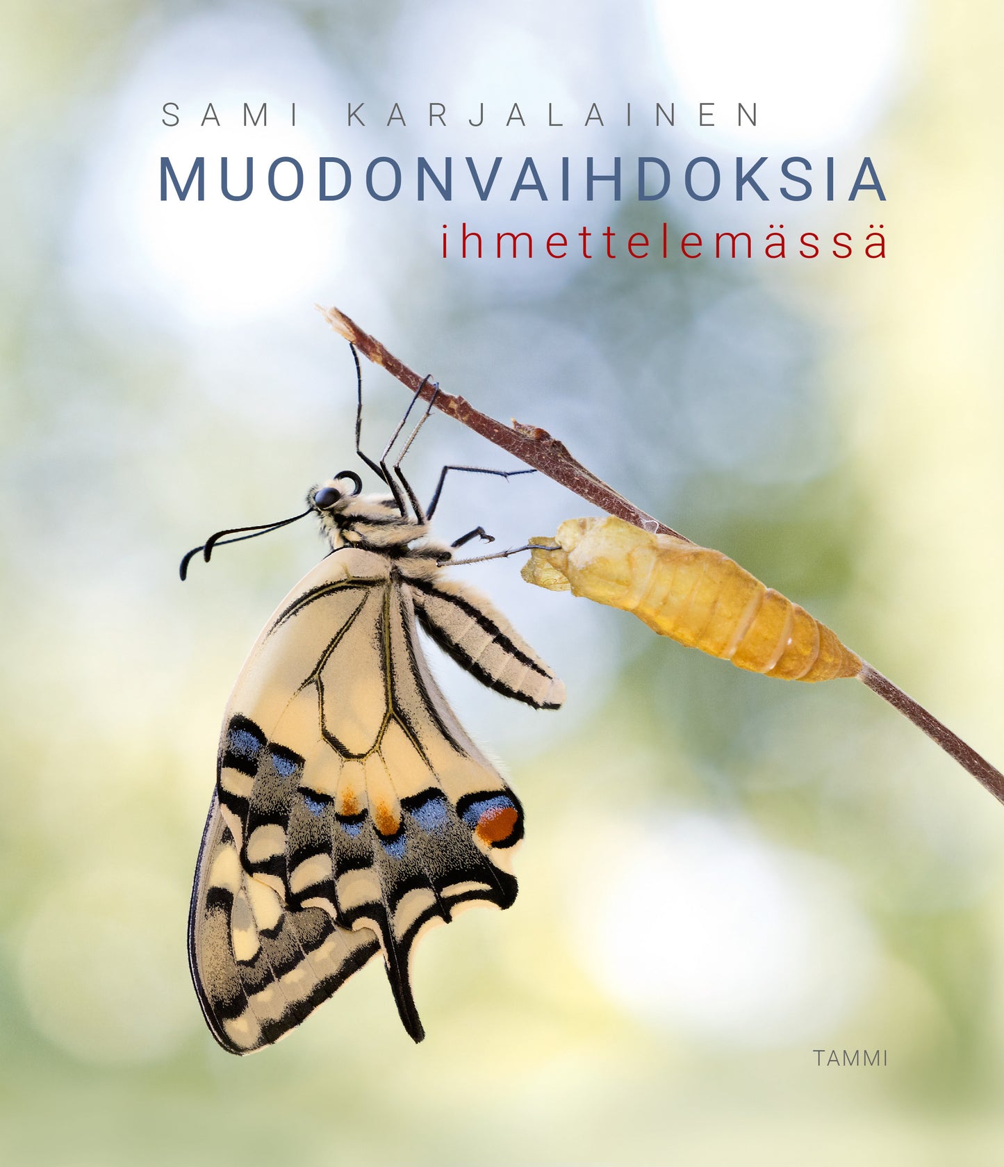 Muodonvaihdoksia ihmettelemässä – E-bok