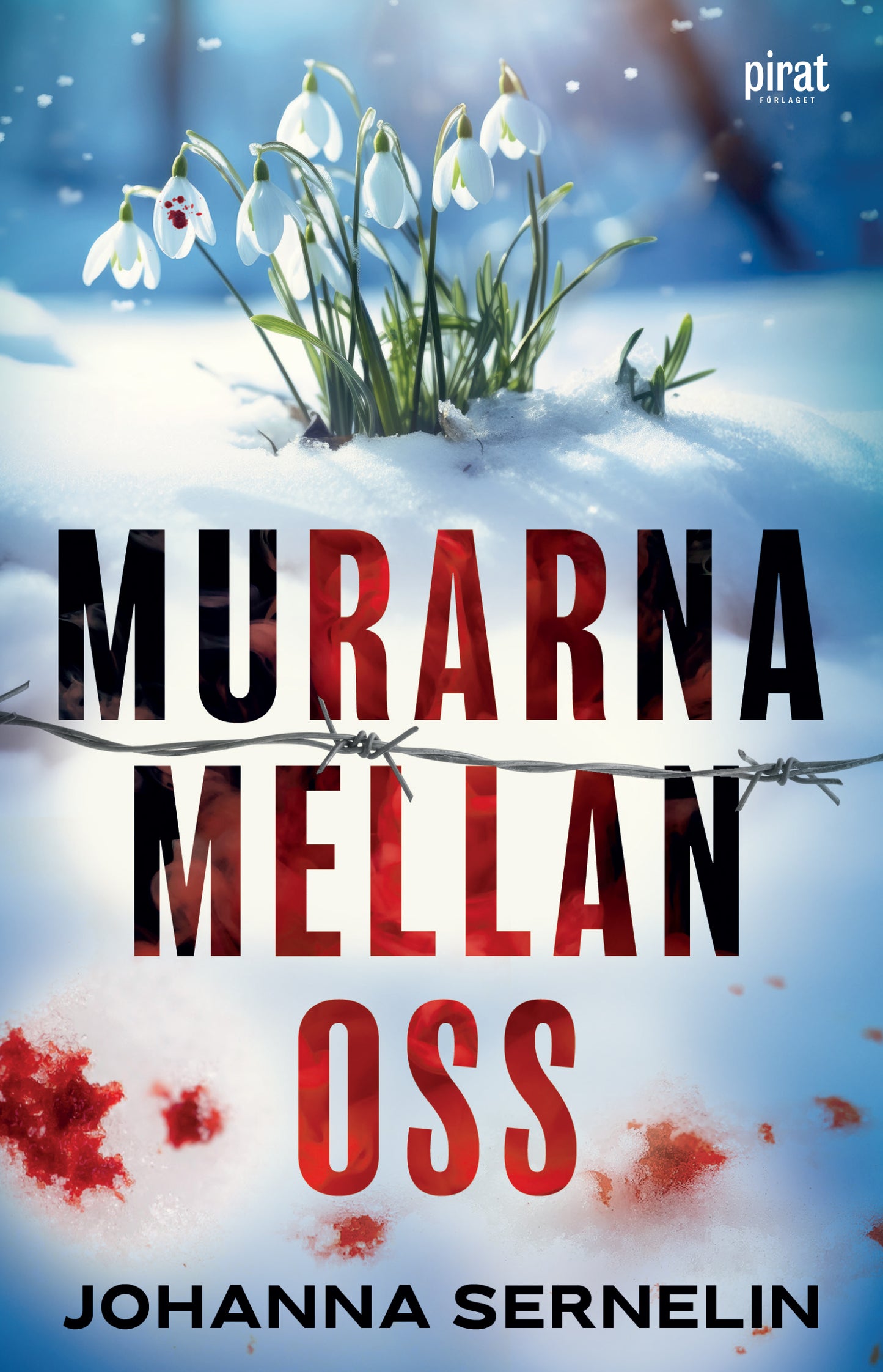 Murarna mellan oss – E-bok