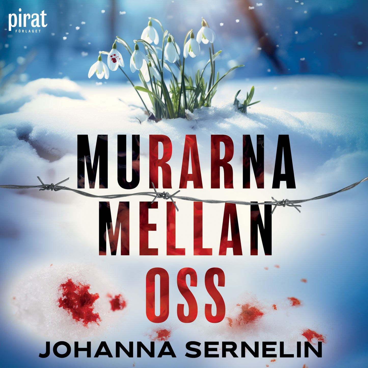 Murarna mellan oss – Ljudbok