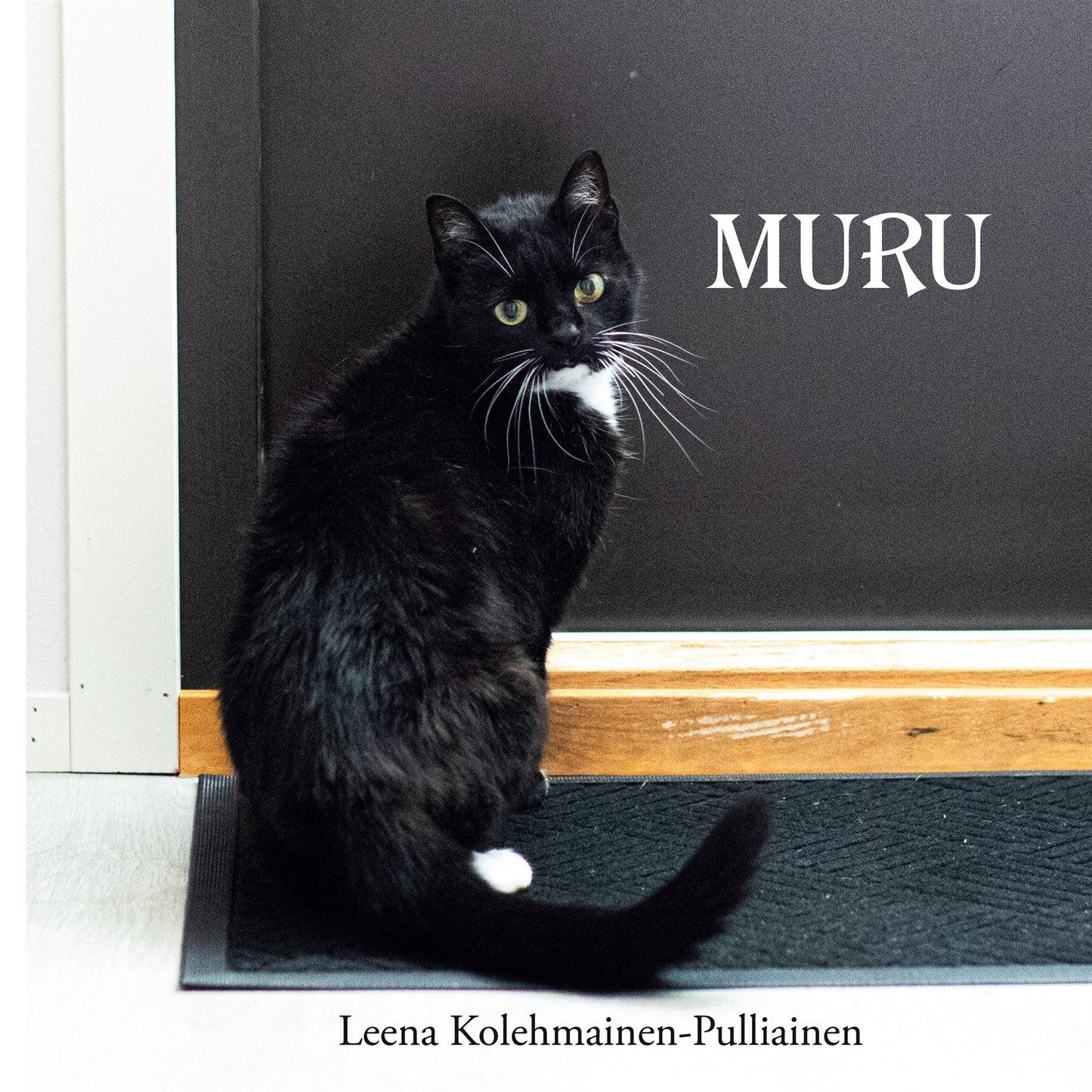 Muru – E-bok