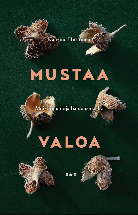 Mustaa valoa – E-bok